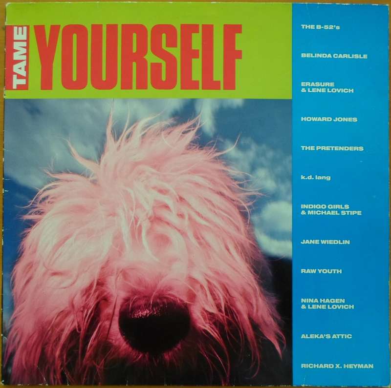 Various Artists - Tame Yourself