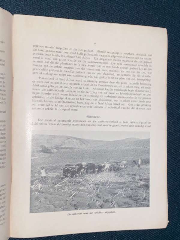 SUGAR THE ORIGIN AND DEVELOPMENT OF A PRIMARY INDUSTRY