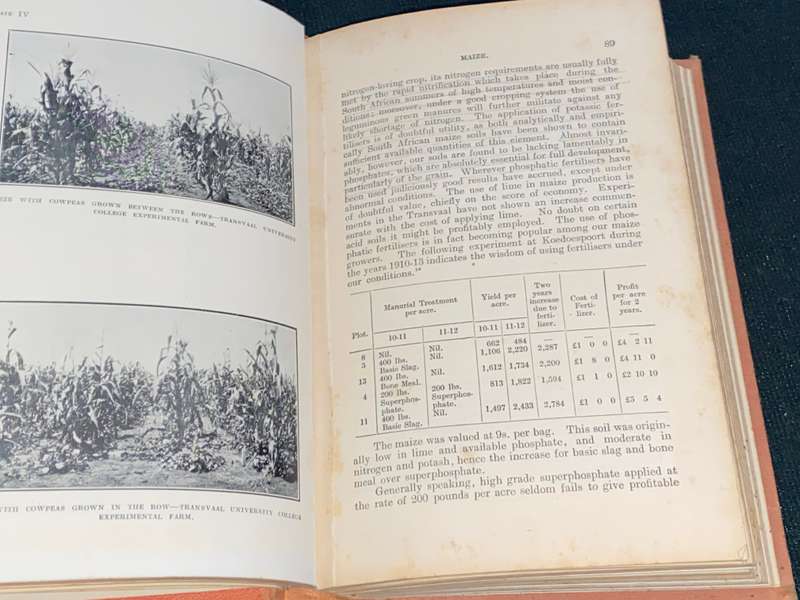 FIELD CROPS IN SOUTH AFRICA BY LEPPAN AND BOSMAN 1923