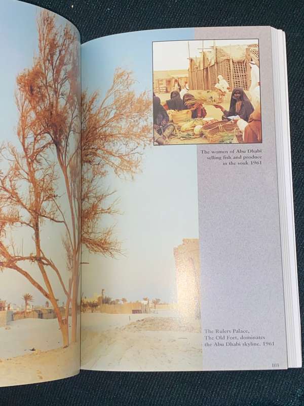 FROM RAGS TO RICHES A STORY OF ABU DHABI BY MOHAMMED AL-FAHIM