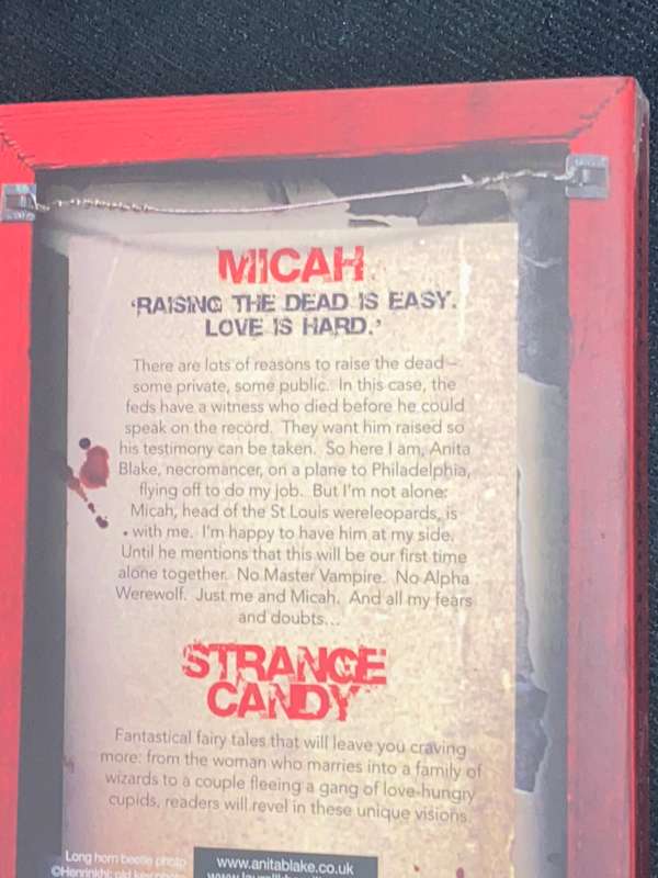 STRANGE CANDY BY LAURELL K. HAMILTON AN ANITA BLAKE VAMPIRE HUNTER NOVEL