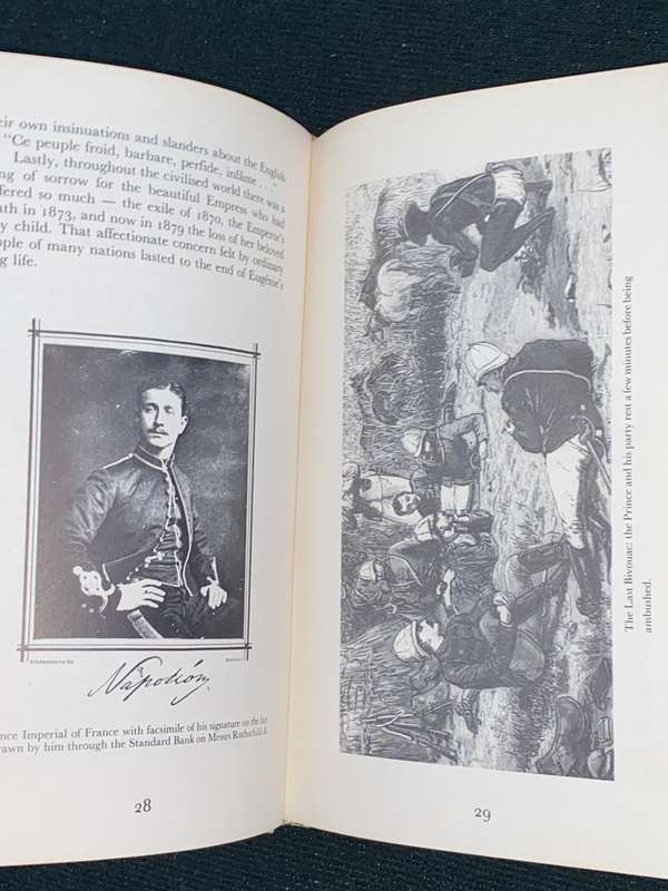THE ZULU WAR AND THE COLONY OF NATAL