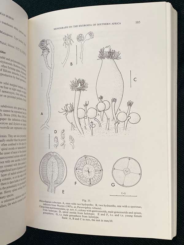ANNALS OF THE SOUTH AFRICAN MUSEUM VOL 68 DECEMBER 1975