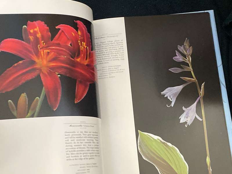 PERENNIALS PHOTOGRAPHS BY PAUL STAROSTA AND TEXT BY MARION FERRAUD