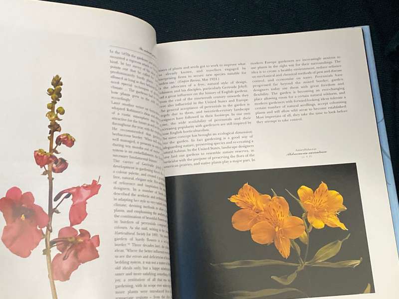 PERENNIALS PHOTOGRAPHS BY PAUL STAROSTA AND TEXT BY MARION FERRAUD