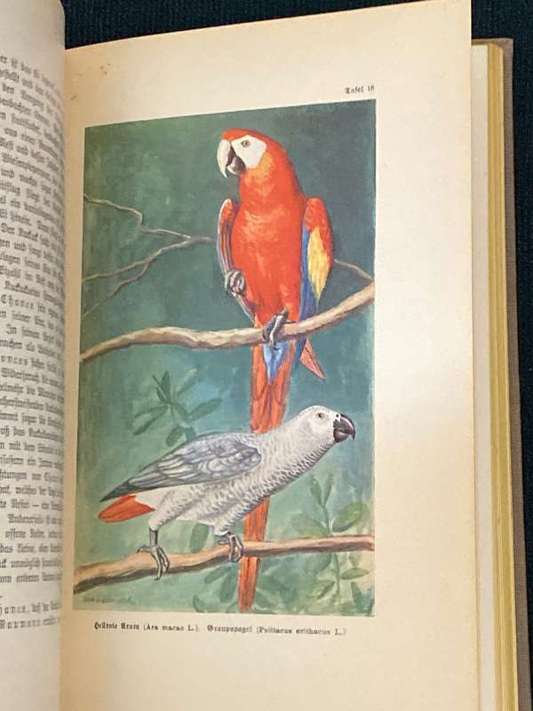 DAS LEBEN DER VOGEL - FRIEDRICH VON LUCANUS