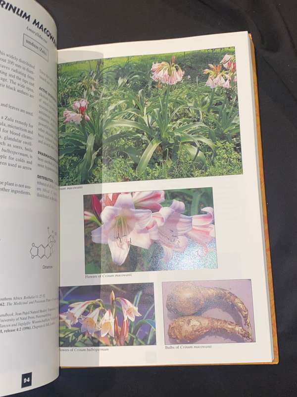 MEDICINAL PLANTS OF SOUTH AFRICA
