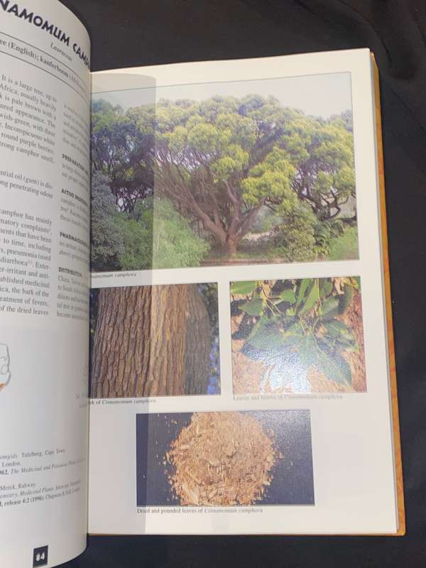 MEDICINAL PLANTS OF SOUTH AFRICA
