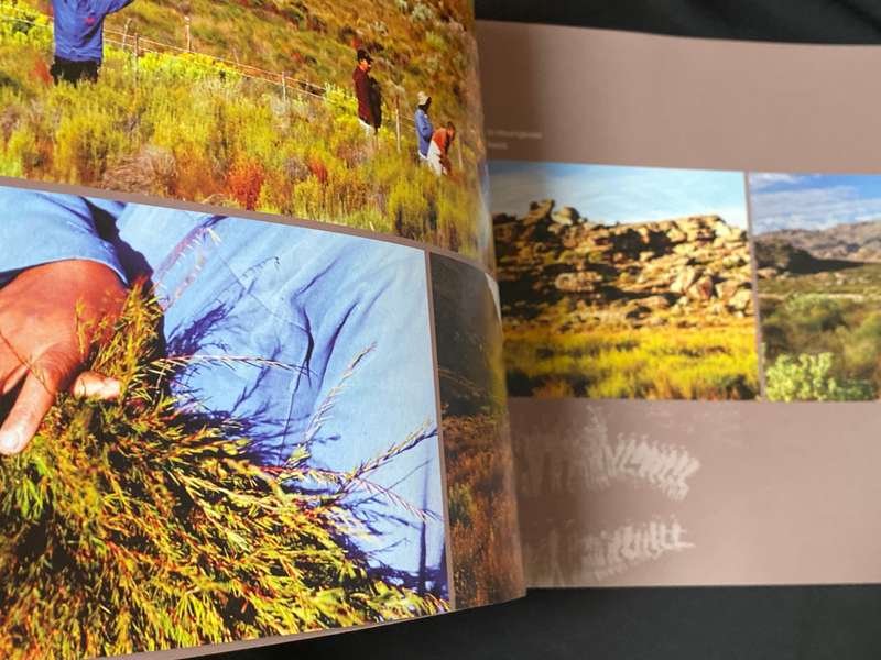 WUPPERTHAL ET SON ROOIBOS FRENCH /ENGLISH SUMMARY