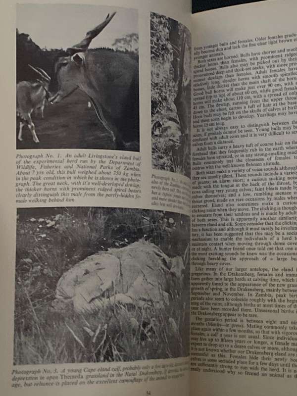 FORESTRY IN S.A. / BOSBOU IN S.A. NO. 13 JUNE 1972