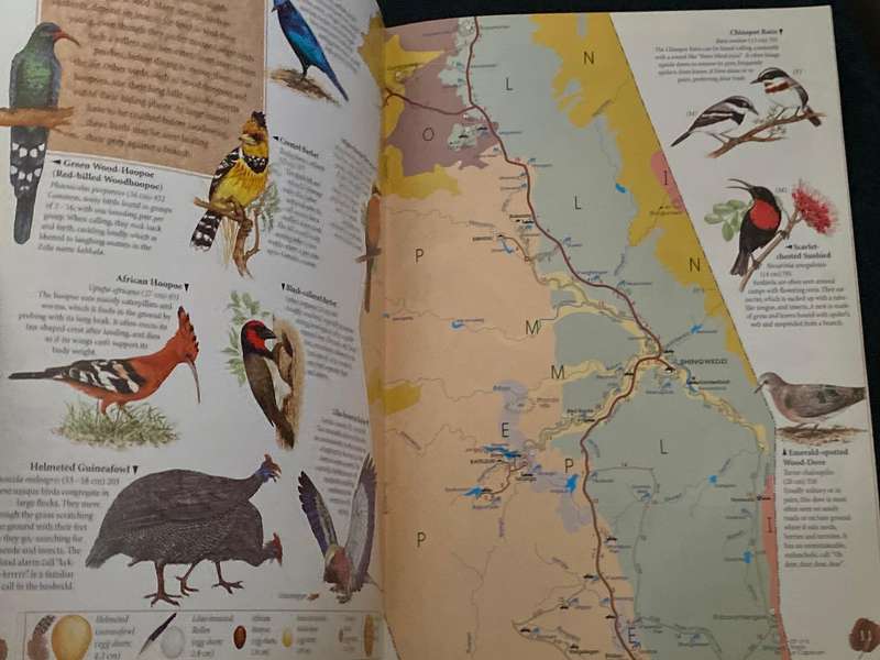 KRUGER NATIONAL PARK - THE KRUGER MAP