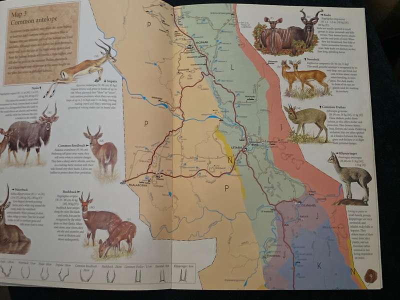 KRUGER NATIONAL PARK - THE KRUGER MAP