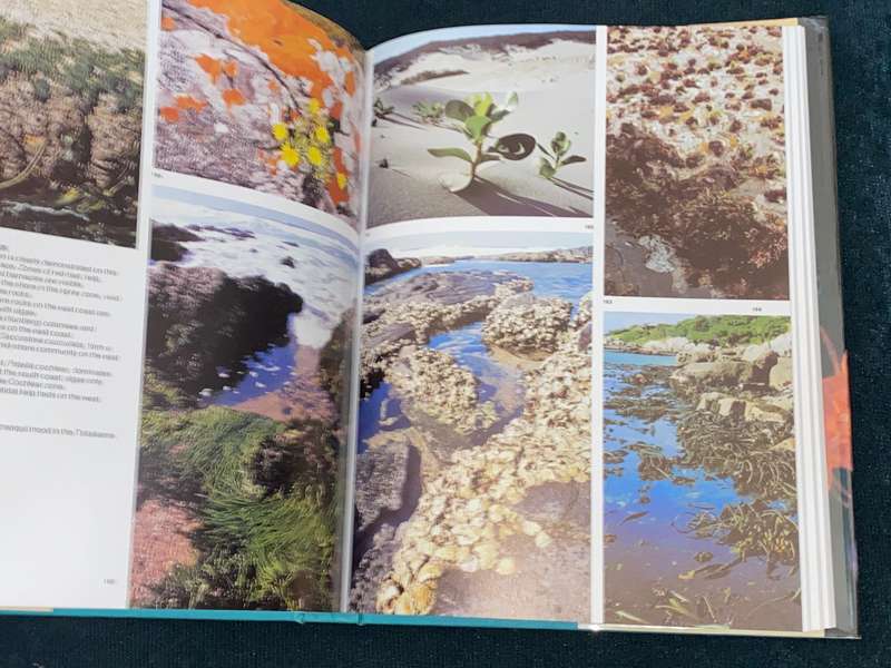 THE LIVING SHORES OF SOUTHERN AFRICA BY MARGO & GEORGE BRANCH