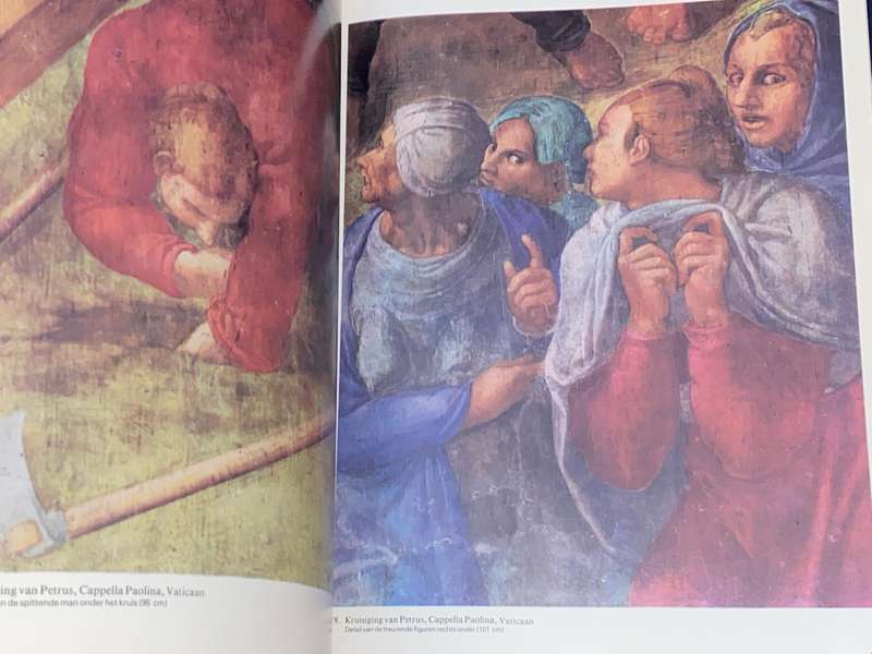 HET KOMPLETE WERK VAN MICHELANGELO - MEESTERS DER SCHILDERKUNST