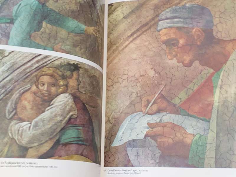 HET KOMPLETE WERK VAN MICHELANGELO - MEESTERS DER SCHILDERKUNST