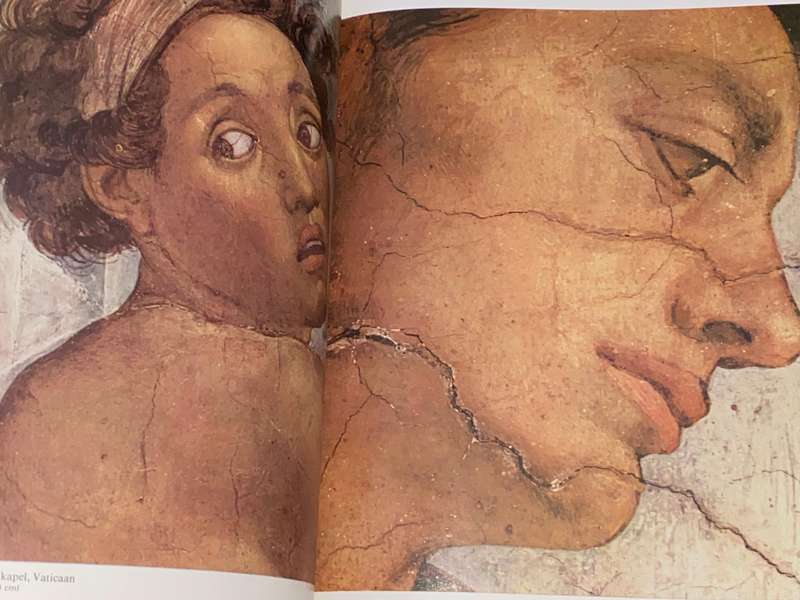 HET KOMPLETE WERK VAN MICHELANGELO - MEESTERS DER SCHILDERKUNST