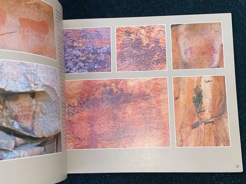 CEDERBERG ROCK PAINTINGS BY JOHN PARKINGTON