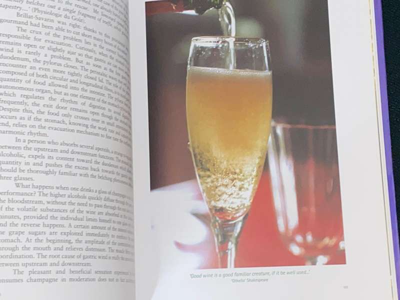 THE HEALING POWER OF CHAMPAGNE HISTORY, TRADITIONS, BIOLOGY AND DIET BY DR TRAN KY AND DR F. DROUARD