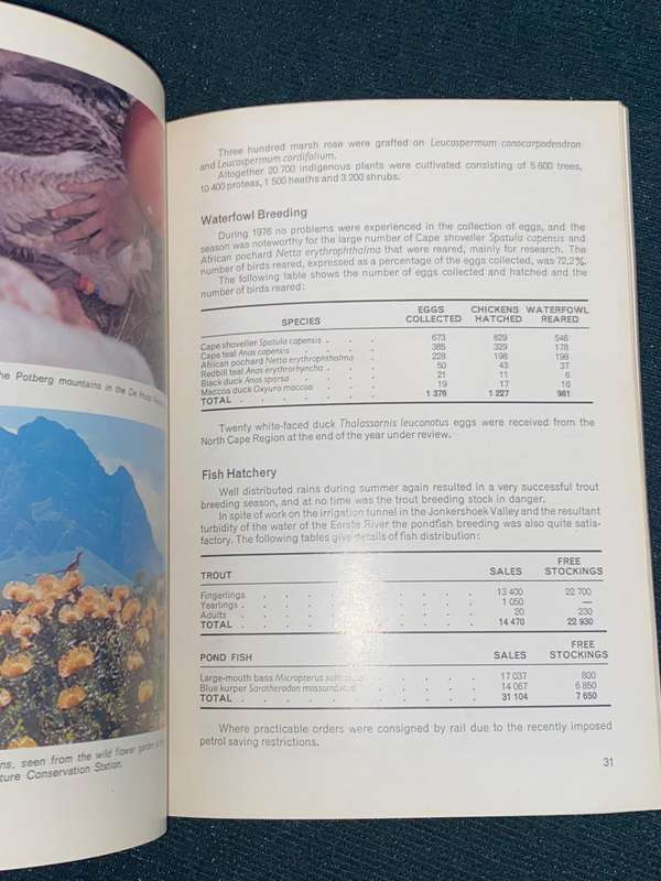 CAPE DEPARTMENT OF NATURE CONSERVATION & MUSEUM SERVICES REPORT NO. 33 1976-1977