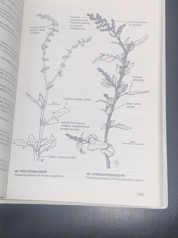 THE LEVYNS GUIDE TO PLANT GENERA OF THE SOUTH WESTERN CAPE BY TERRY H. TRINDER-SMITH