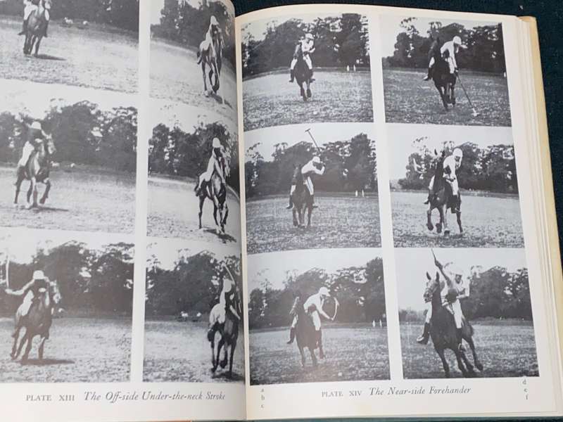 AN INTRODUCTION TO POLO BY MARCO