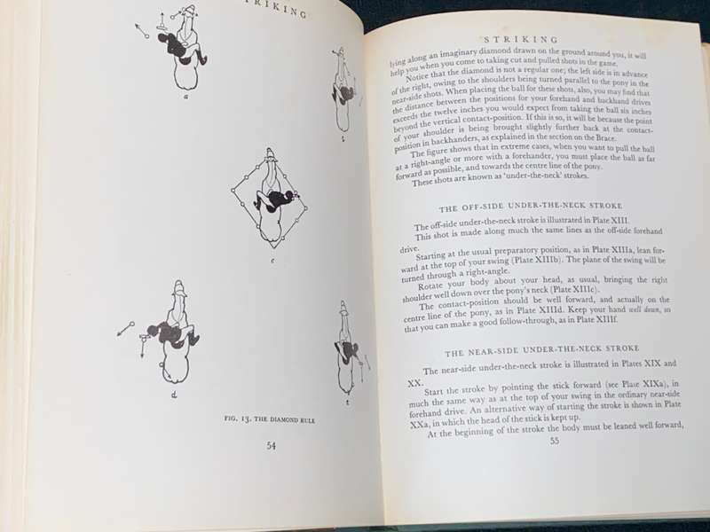 AN INTRODUCTION TO POLO BY MARCO