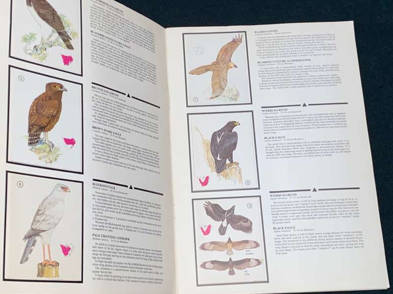 WEET-BIX BIRDS OF PREY ALBUM