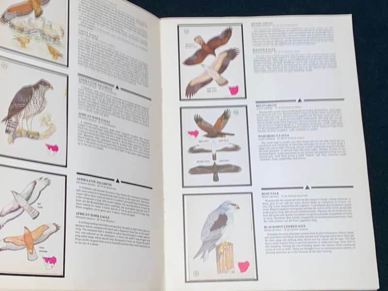 WEET-BIX BIRDS OF PREY ALBUM