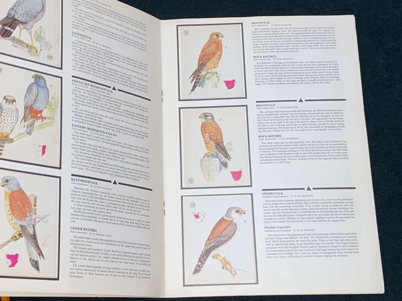 WEET-BIX BIRDS OF PREY ALBUM