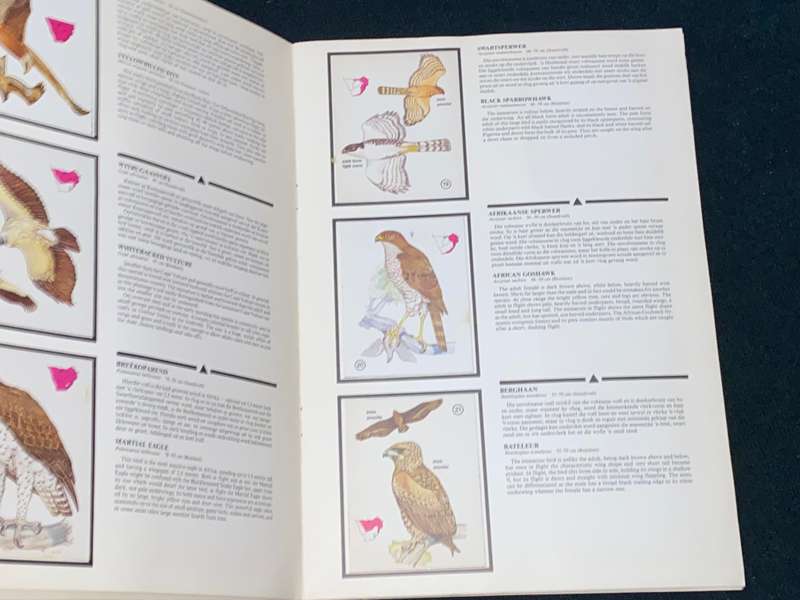 WEET-BIX BIRDS OF PREY ALBUM