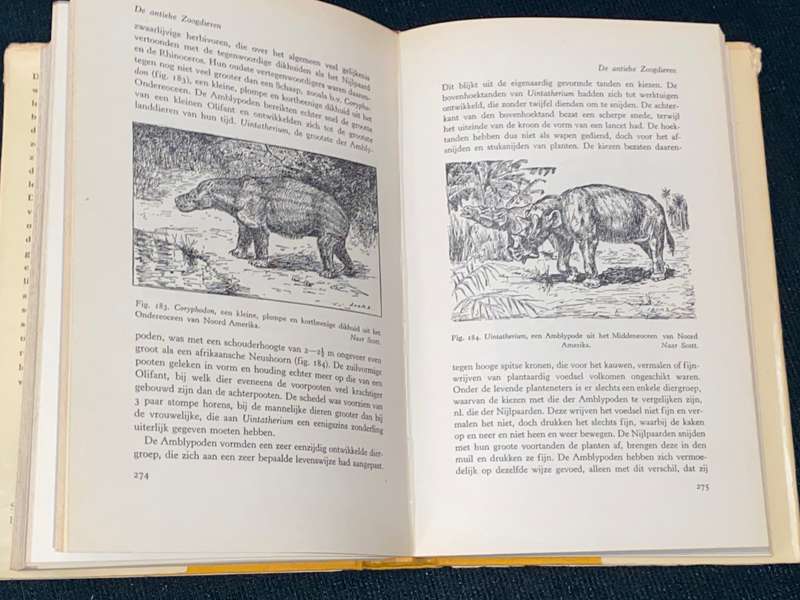GESCHIEDENIS VAN HET LEVEN OP AARDE - DR. G.L. SMIT SIBINGA 1948