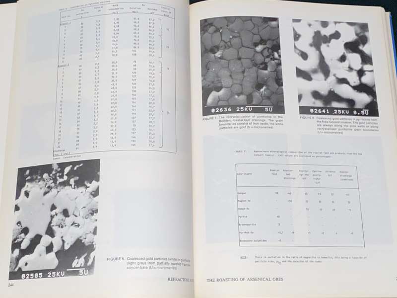 GOLD 100 VOLUME 2 EXTRACTIVE METALLURGY OF GOLD