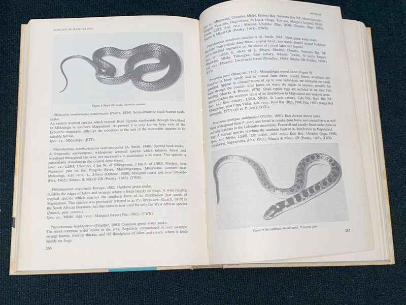 STUDIES ON THE ECOLOGY OF MAPUTALAND EDITED BY M.N. BRUTON AND K.H. COOPER SIGNED