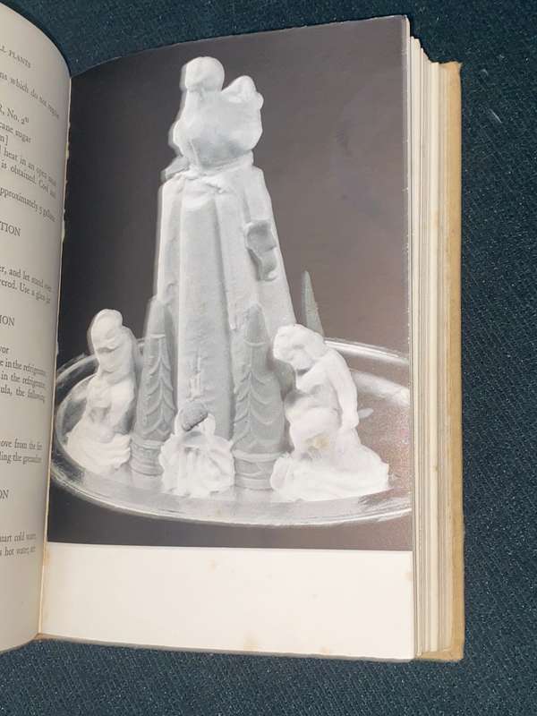 ICE CREAM FOR SMALL PLANTS BY ETTA H. HANDY