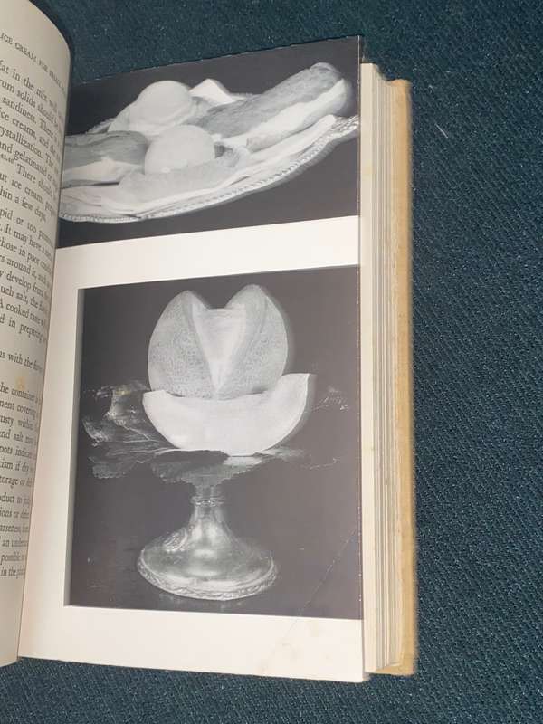 ICE CREAM FOR SMALL PLANTS BY ETTA H. HANDY