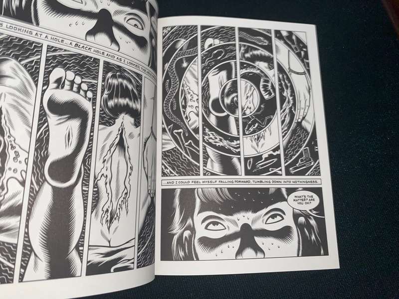 BLACK HOLE BY CHARLES BURNS GRAPHIC
