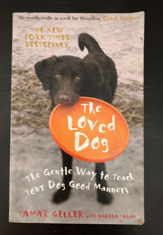 The loved dog - Tamar Geller