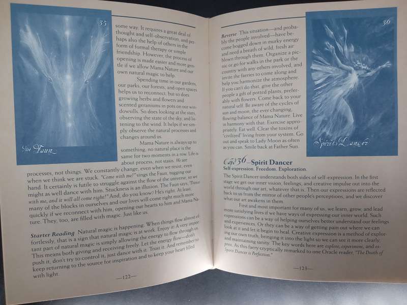 Fairy Lovers! Diverse Collection of Fairies and Figures as well as a Comprehensive Book on Fairies