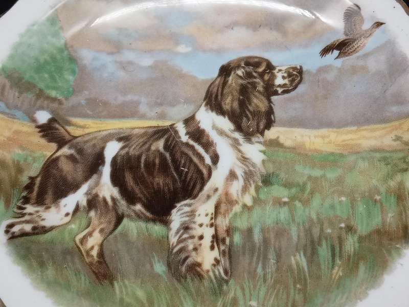 Antique! England - ROYAL Standard - Small Decorative Plate with Dog & Bird