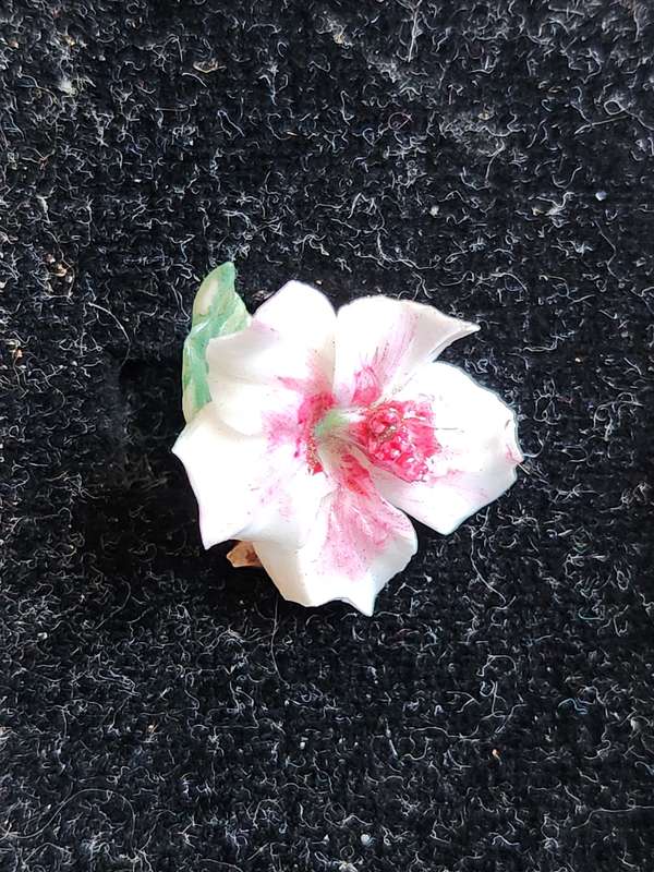 Royal Crown Derby Floral Brooch and Earrings set in a fitted Box (chips on brooch)-as per photograph