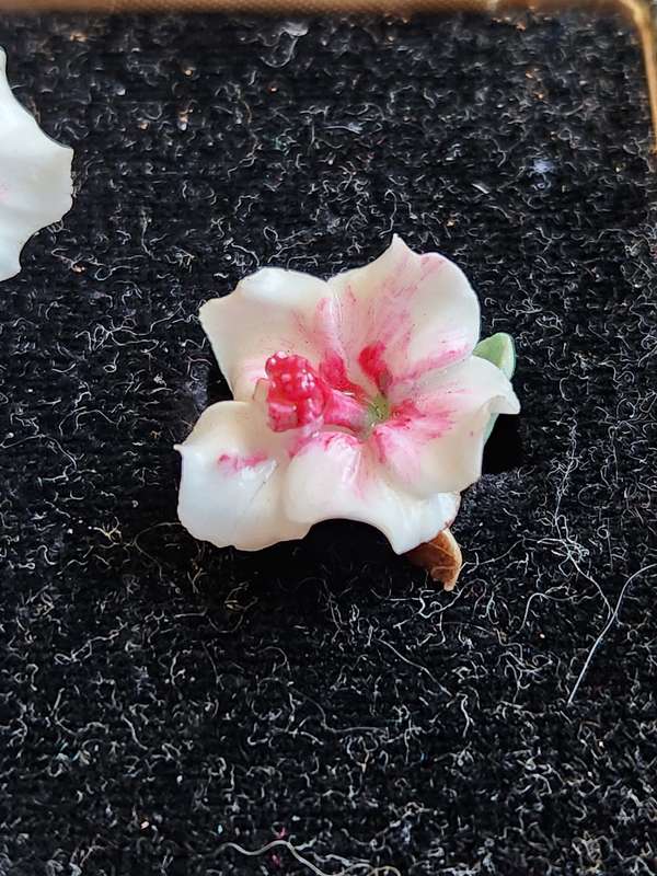Royal Crown Derby Floral Brooch and Earrings set in a fitted Box (chips on brooch)-as per photograph