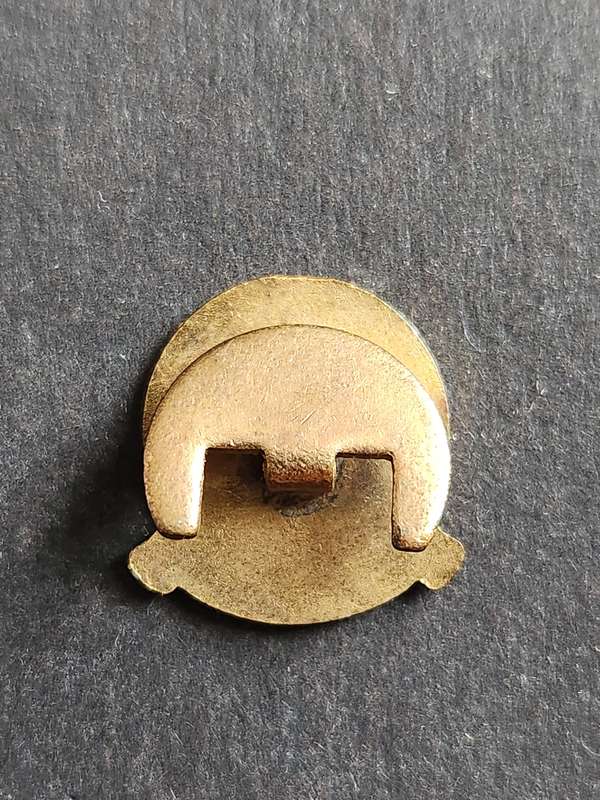 National Party 1914-1964 50 Year Commemorative Lapel Pin Badge - as per photograph