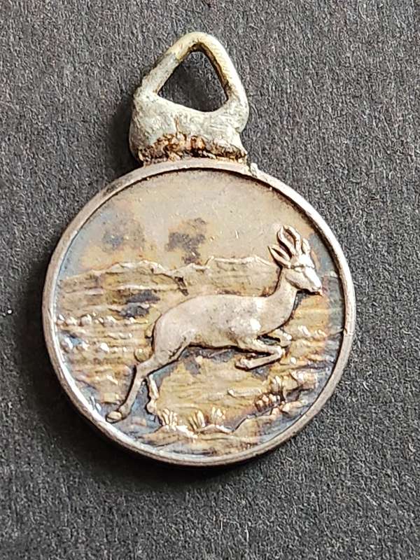 Africa Service Miniature Medal Pendant - as per photograph