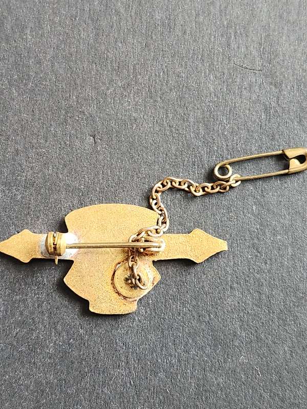 Enamel Pietermaritzburg Turf Club Ladies Badge no. 733 - as per photograph