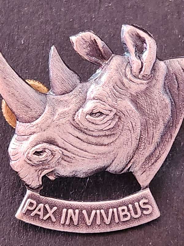 101 Battalion SWA Beret/Cap Badge - as per photograph