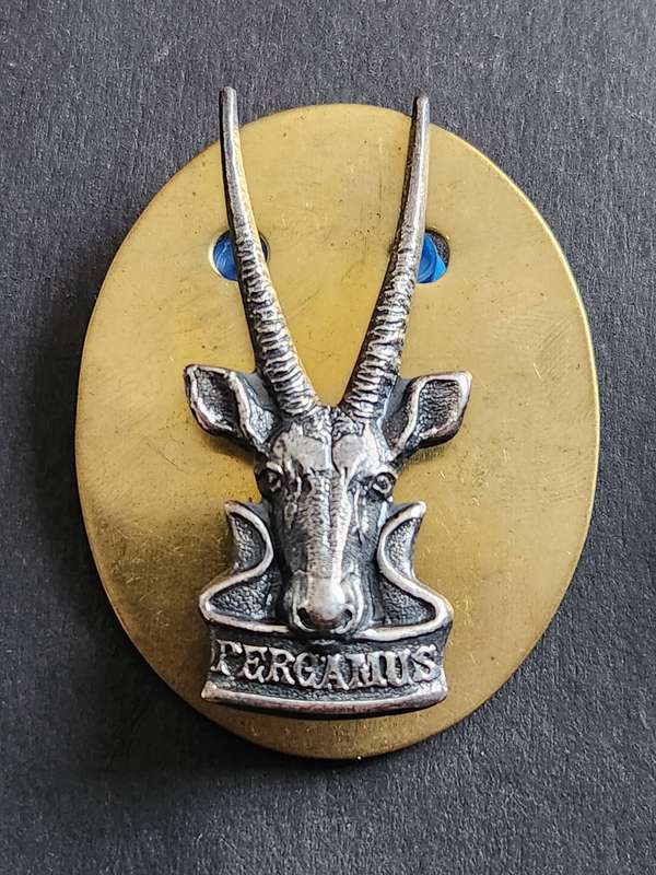 South West Africa Beret Badge (excellent condition) - as per photograph