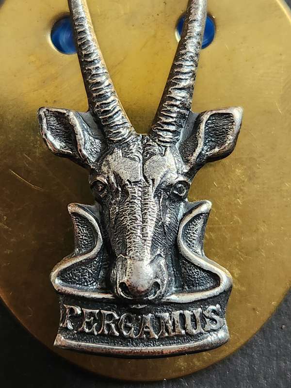 South West Africa Beret Badge (excellent condition) - as per photograph