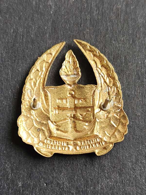 Military Gymnasium Kepi Badge 1950-1967 - as per photograph