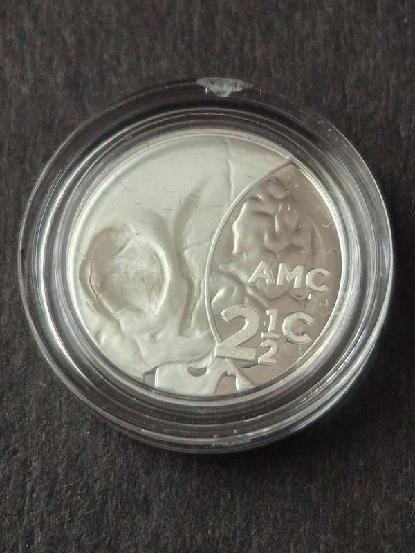 Silver Tickey 2 1/2 Cent Proof - 2018 Computed Tomography - Durban Fly Press