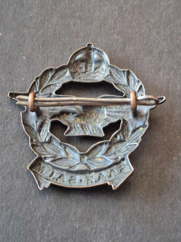 SA Airforce Badge
